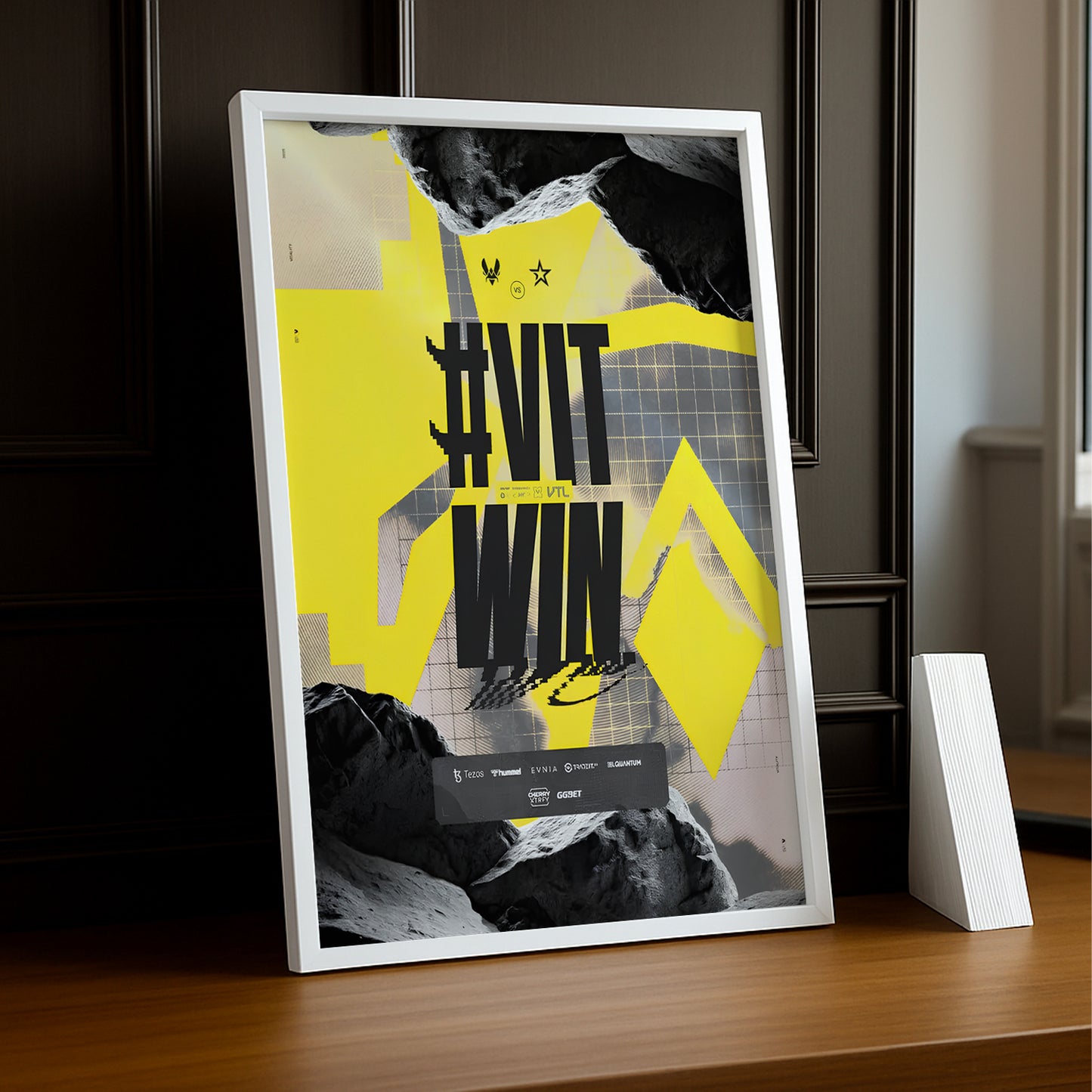 Cadre photo Team Vitality