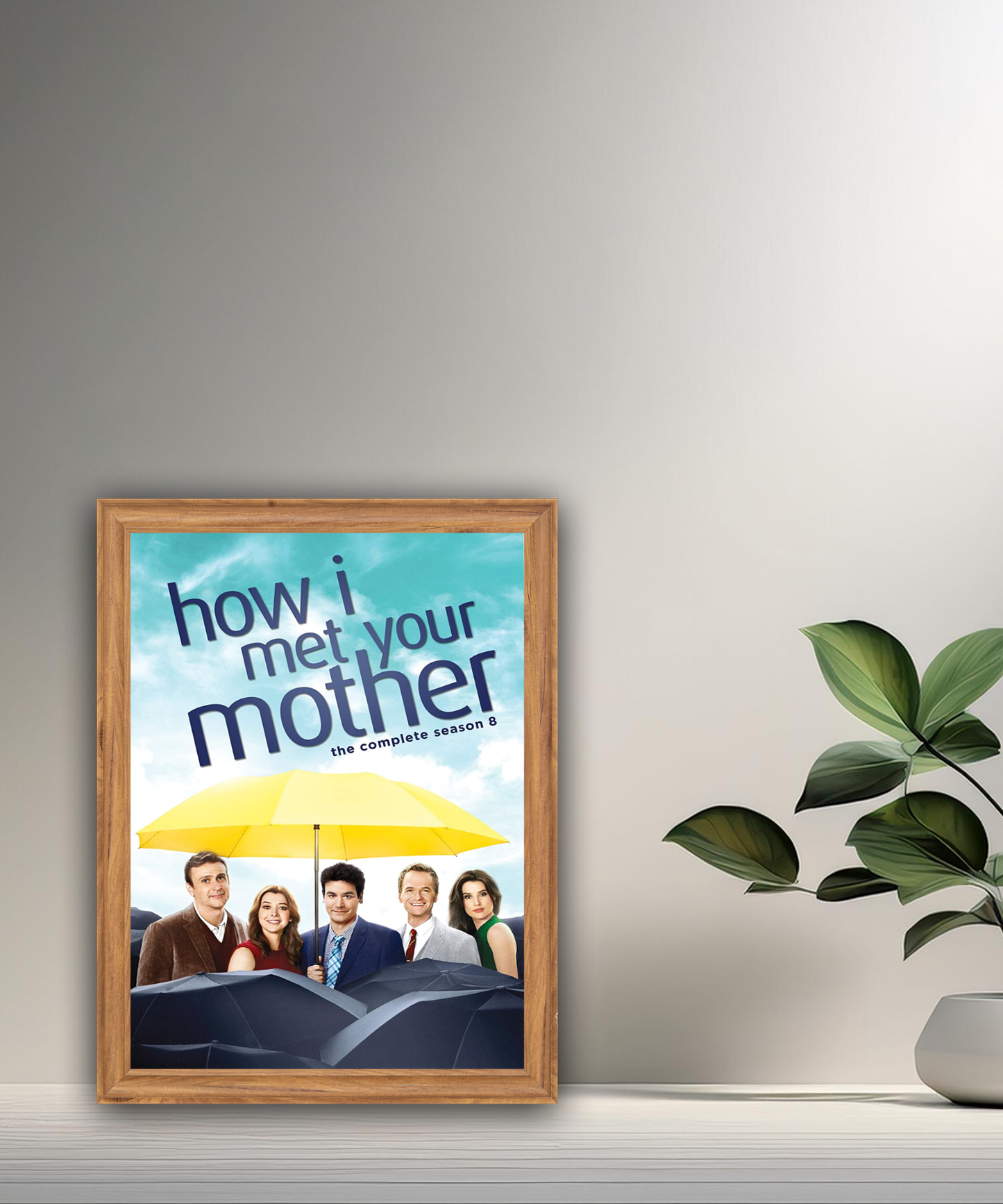 Cadre photo How I met your mother