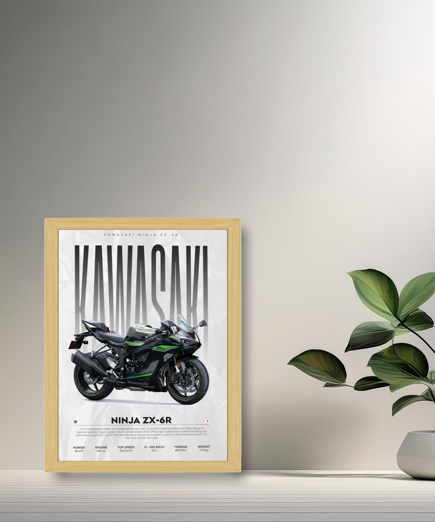 Cadre photo Kawasaki Ninja ZX-6R