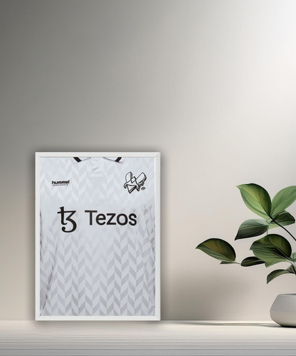 Cadre photo Team Vitality maillot blanc