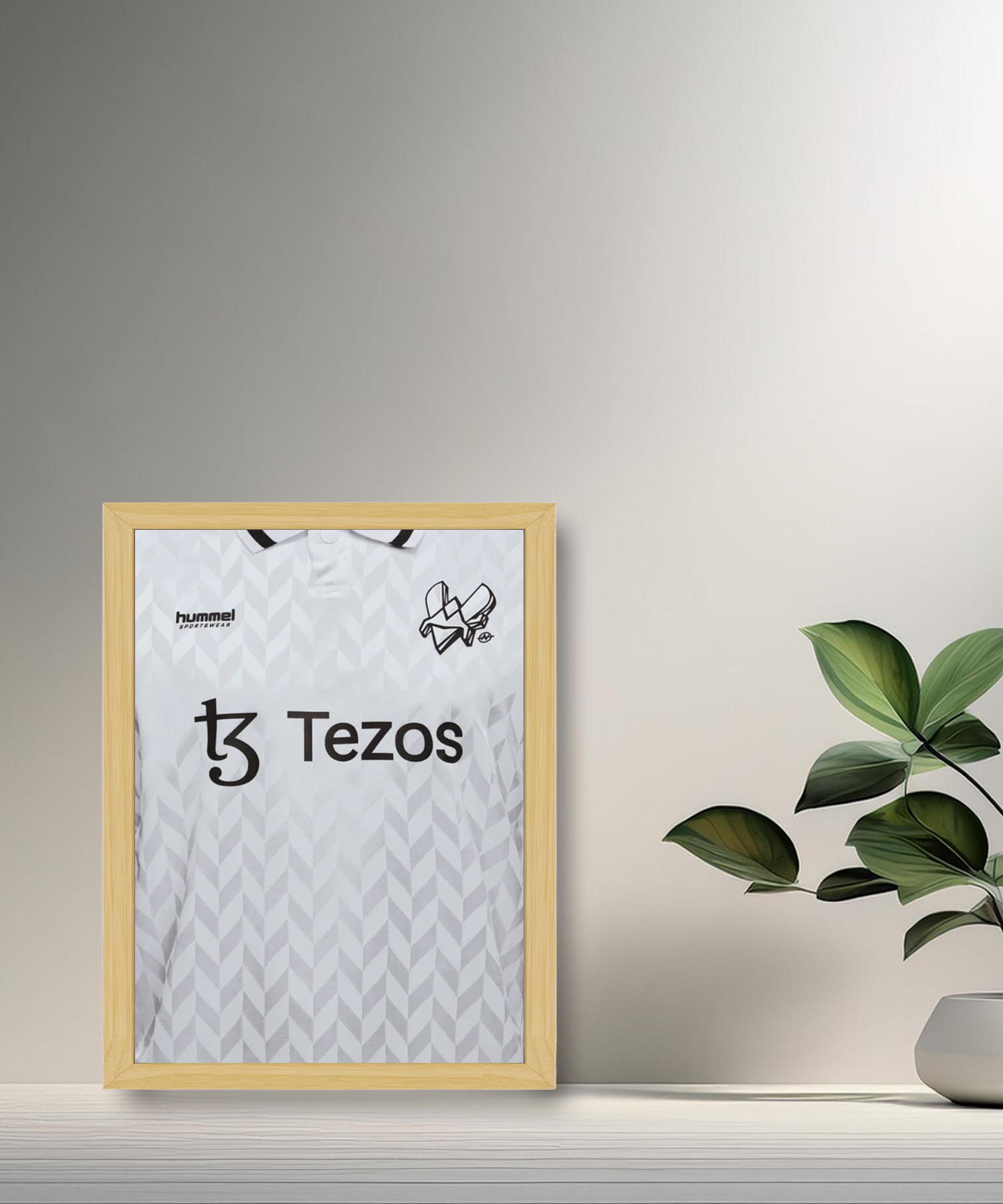 Cadre photo Team Vitality maillot blanc