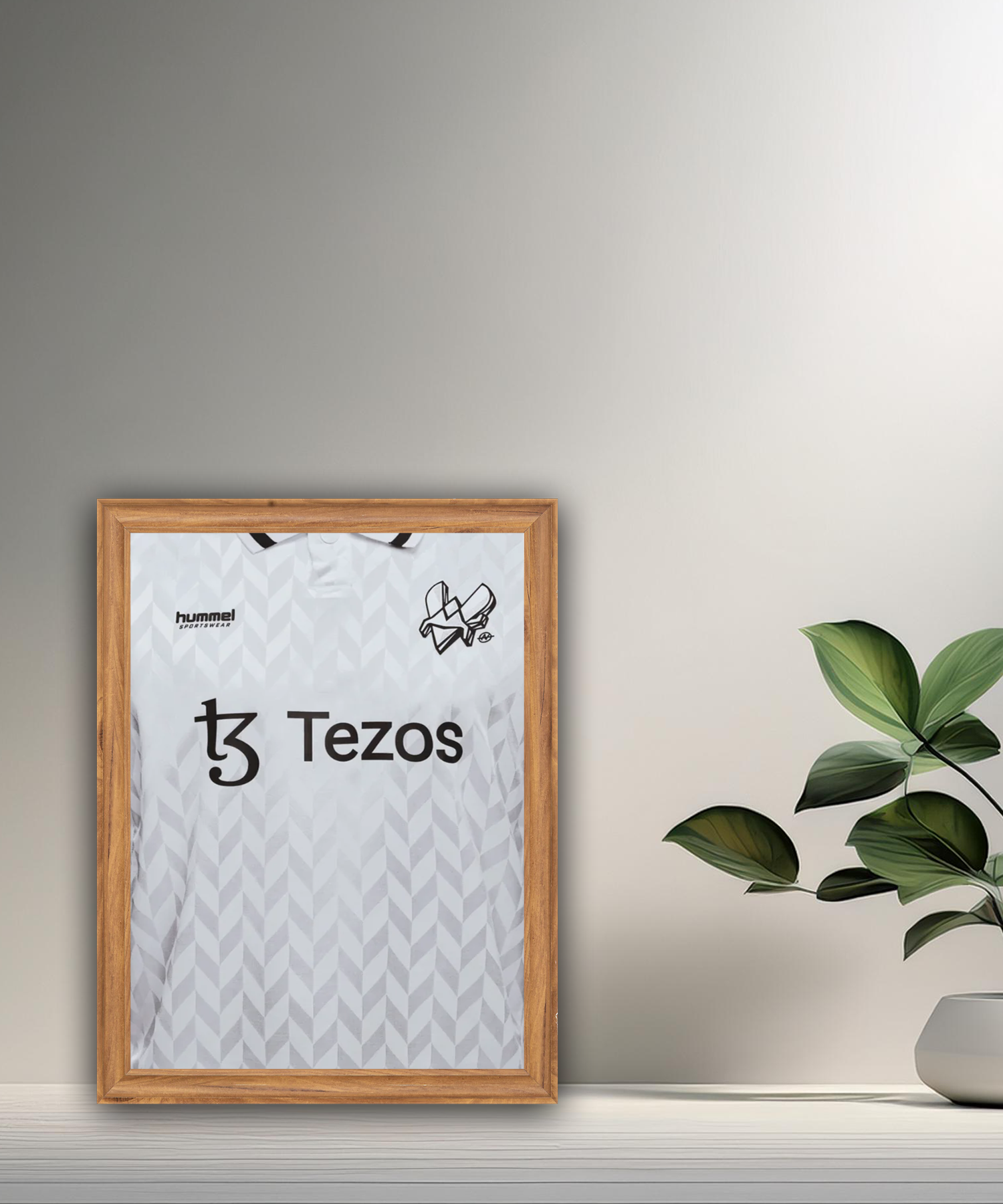 Cadre photo Team Vitality maillot blanc