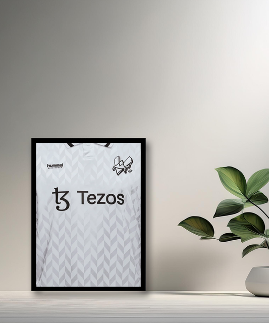Cadre photo Team Vitality maillot blanc