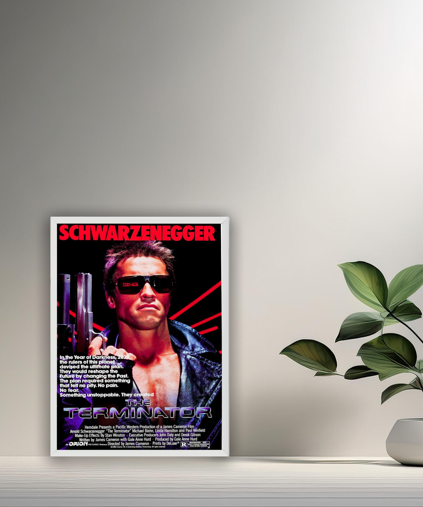 Cadre photo Terminator