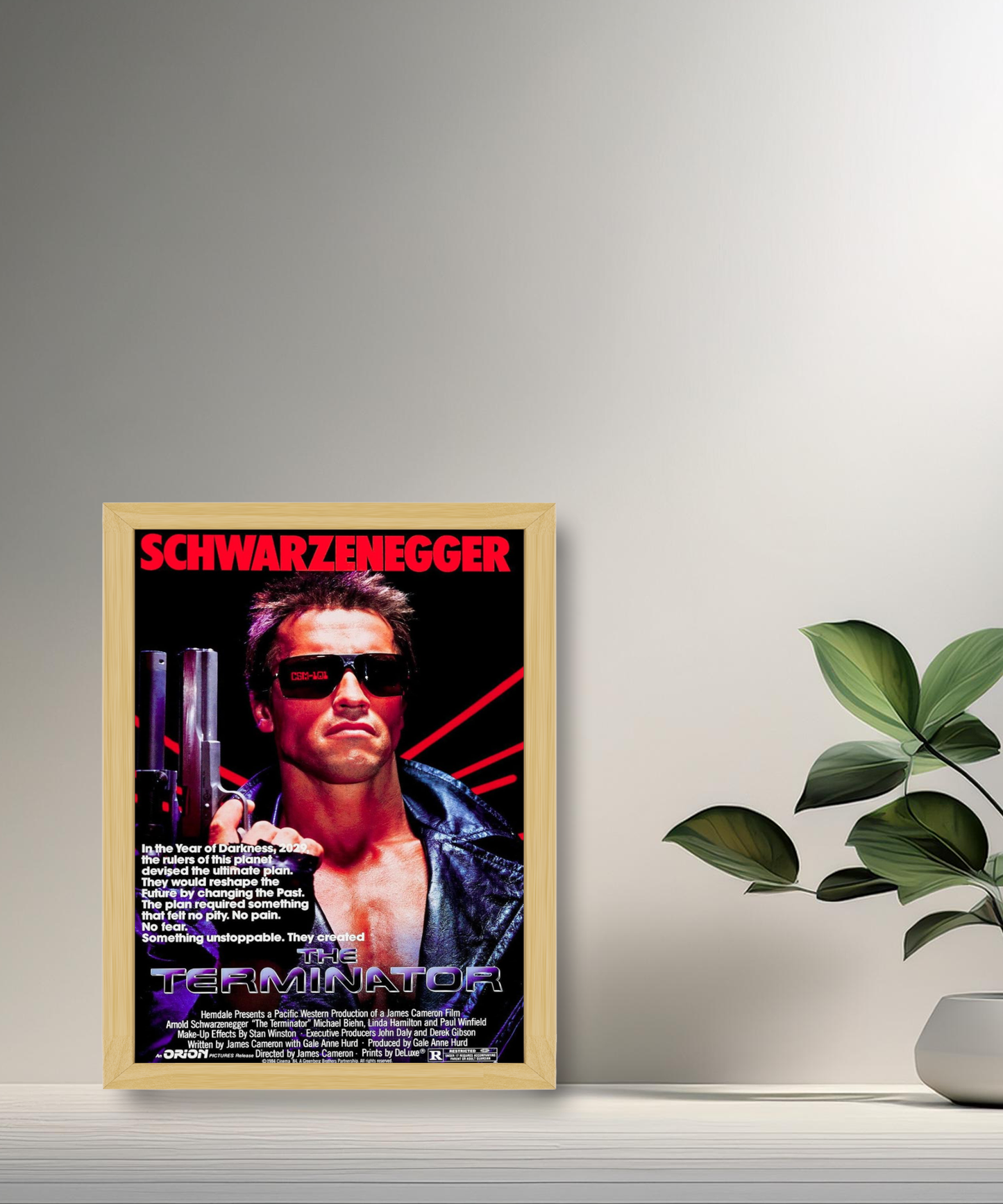 Cadre photo Terminator