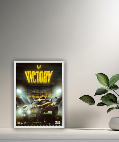 Cadre photo Team Vitality Victory