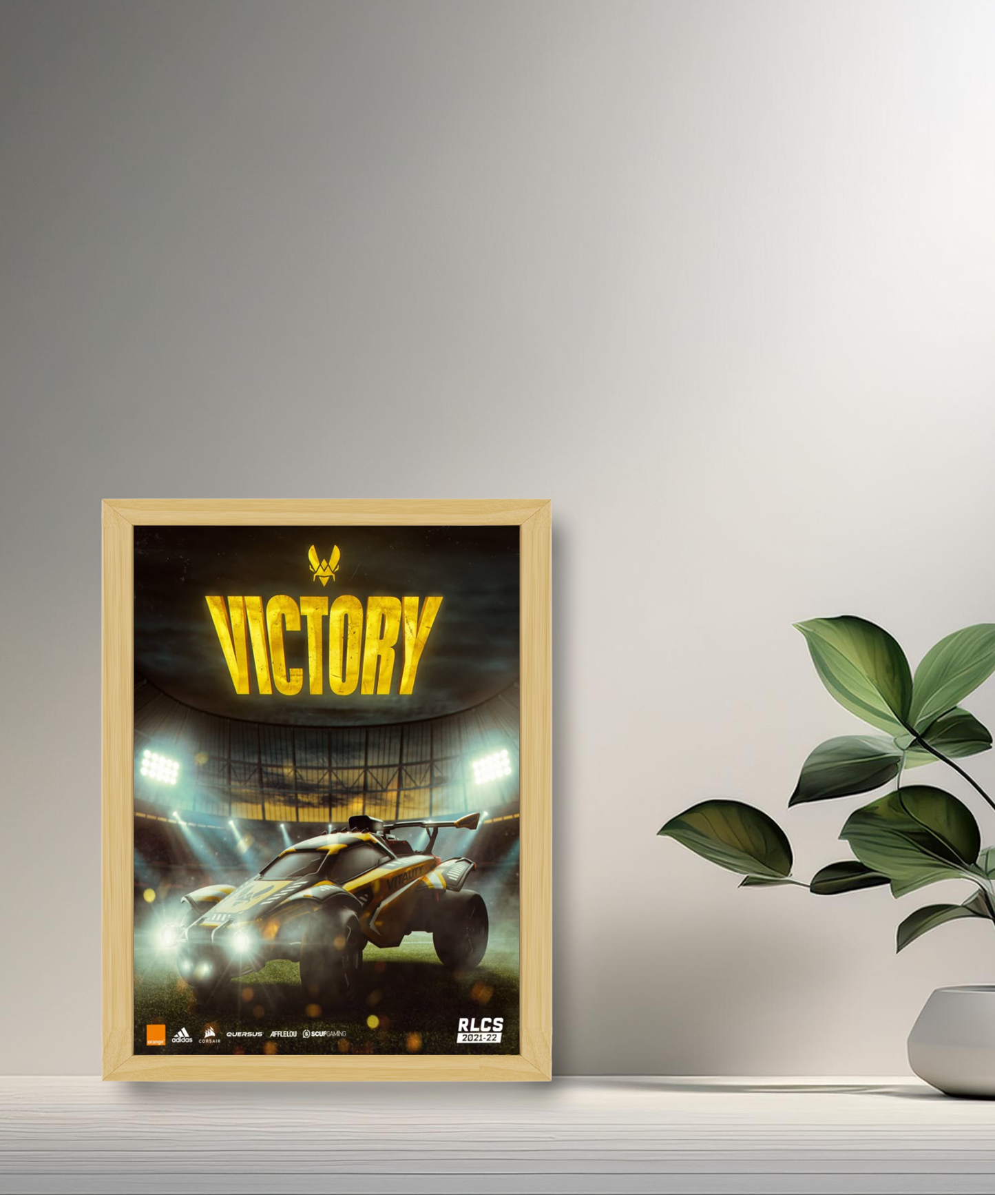 Cadre photo Team Vitality Victory
