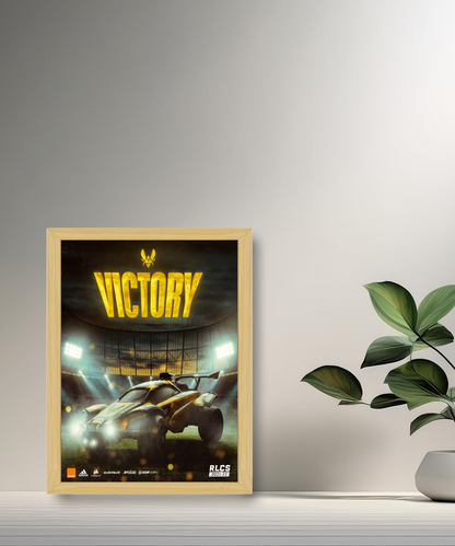 Cadre photo Team Vitality Victory