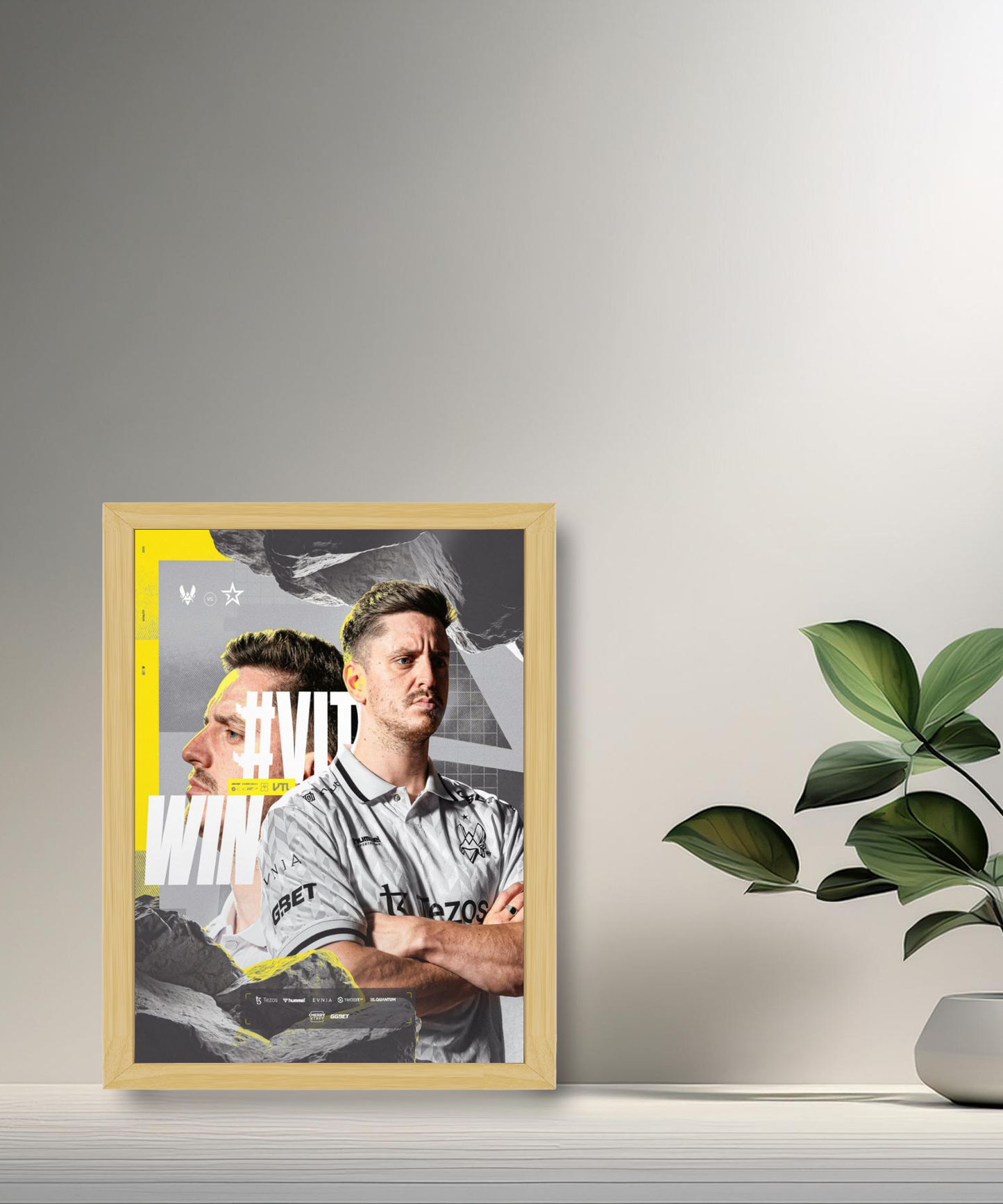 Cadre photo Team Vitality