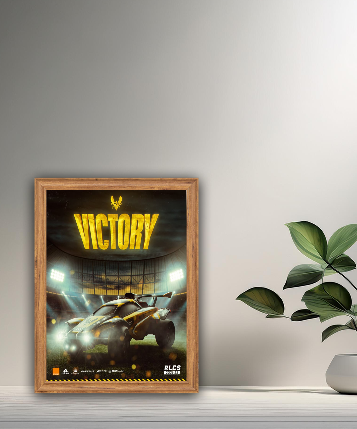 Cadre photo Team Vitality Victory