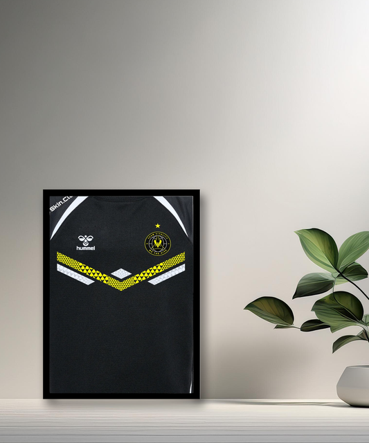 Cadre photo Team Vitality maillot noir