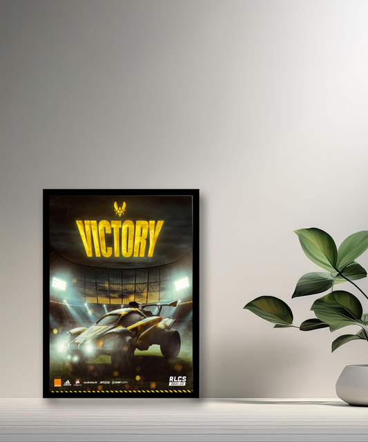 Cadre photo Team Vitality Victory