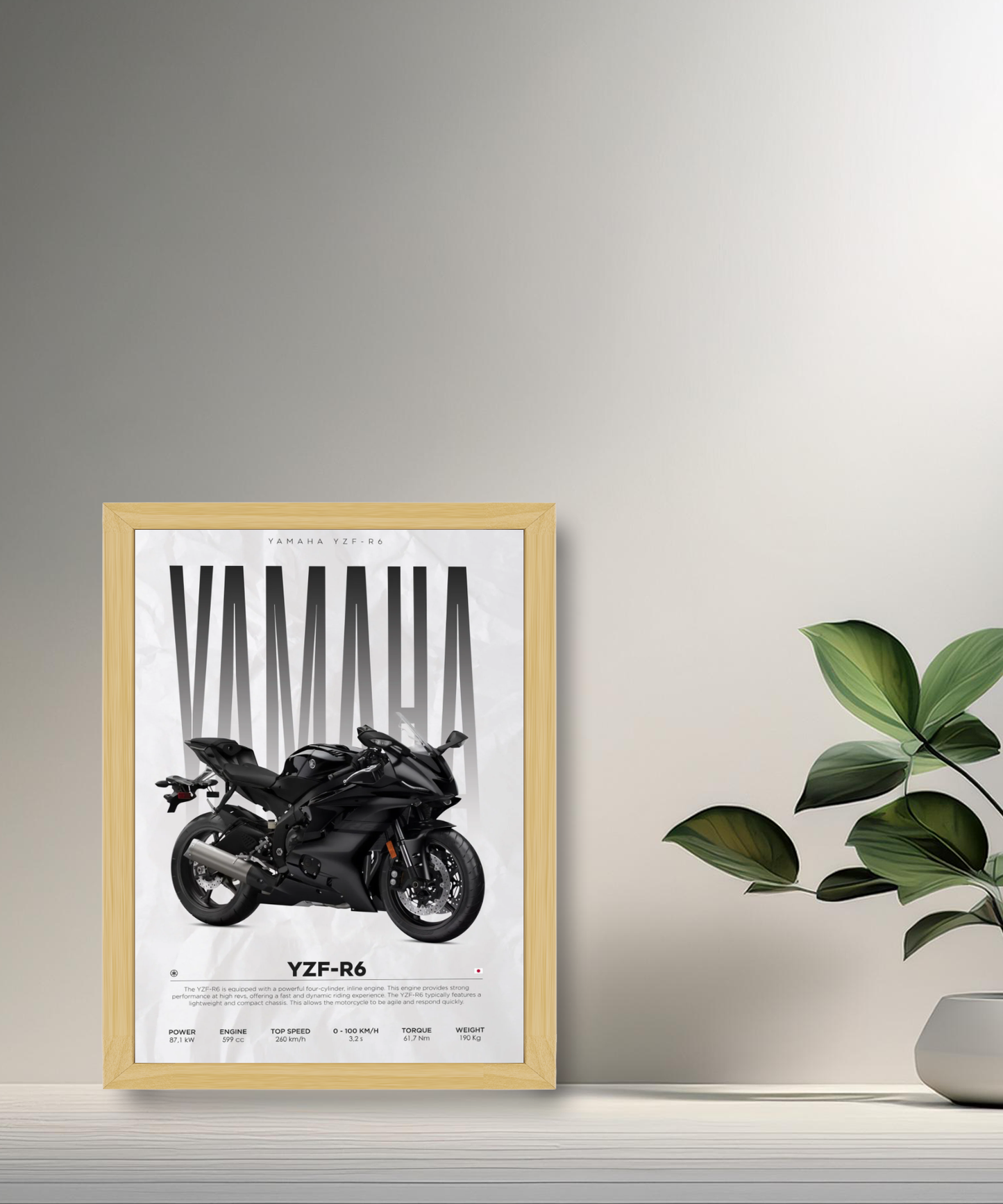 Cadre photo Yamaha YZF-R6