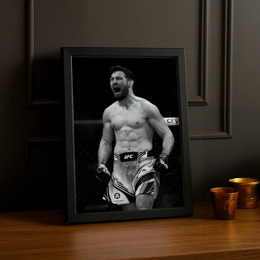 Cadre photo UFC - Nassourdine Imavov