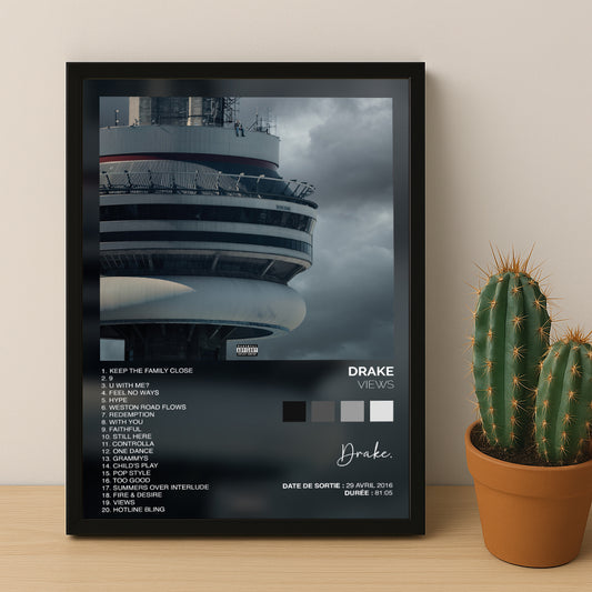 Poster Drake - Album Views