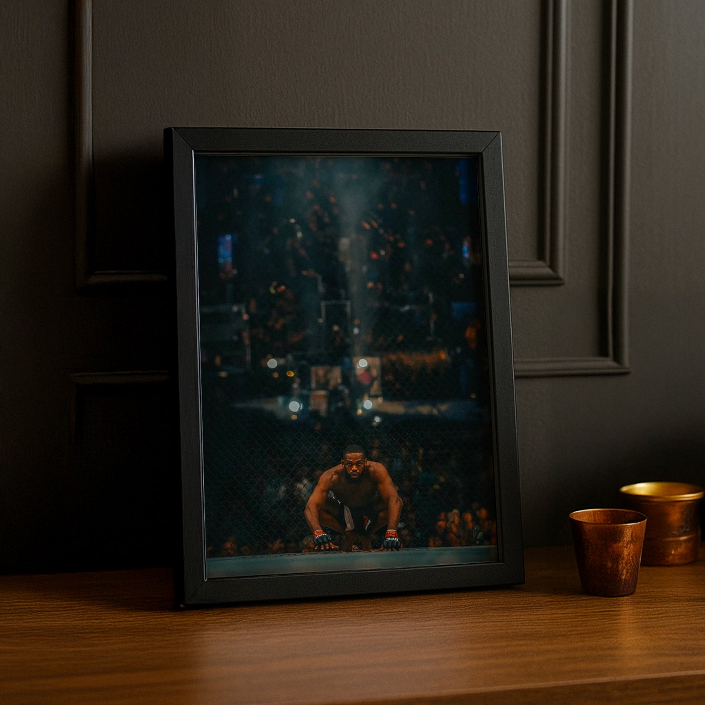 Cadre photo UFC - Jon Bones Jones