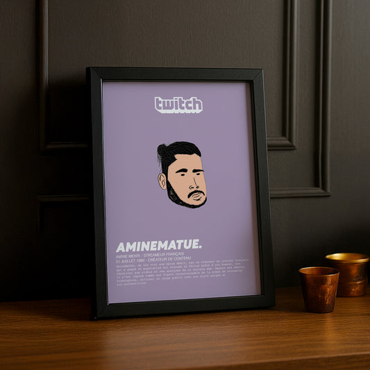 Cadre photo AmineMaTue Twitch