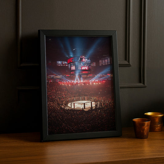 Cadre photo UFC - Cage