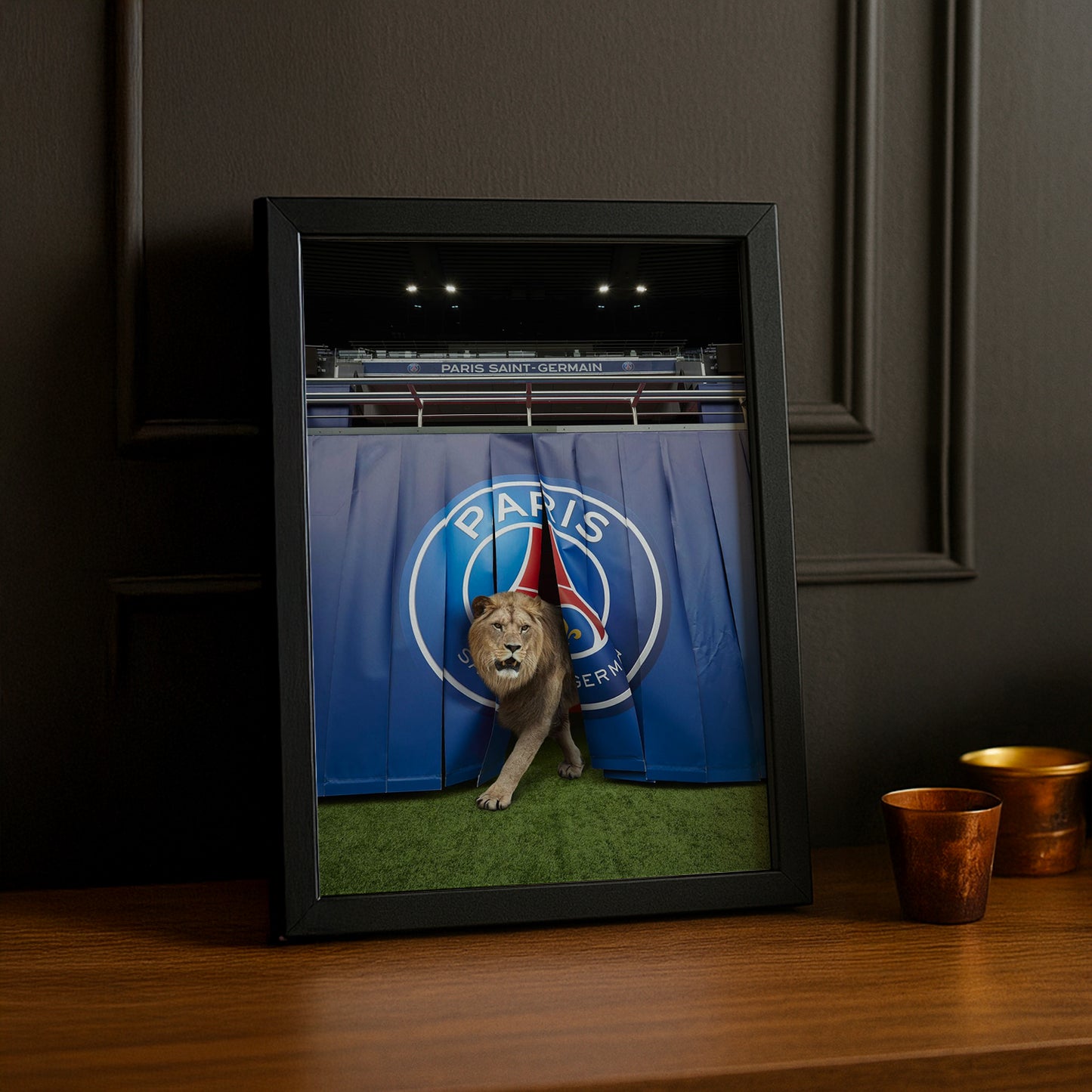 Cadre Photo Paris Saint-Germain - Lion
