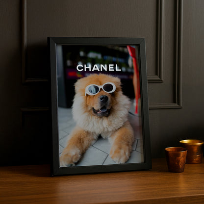 Poster Photo Chanel - Chien Cool