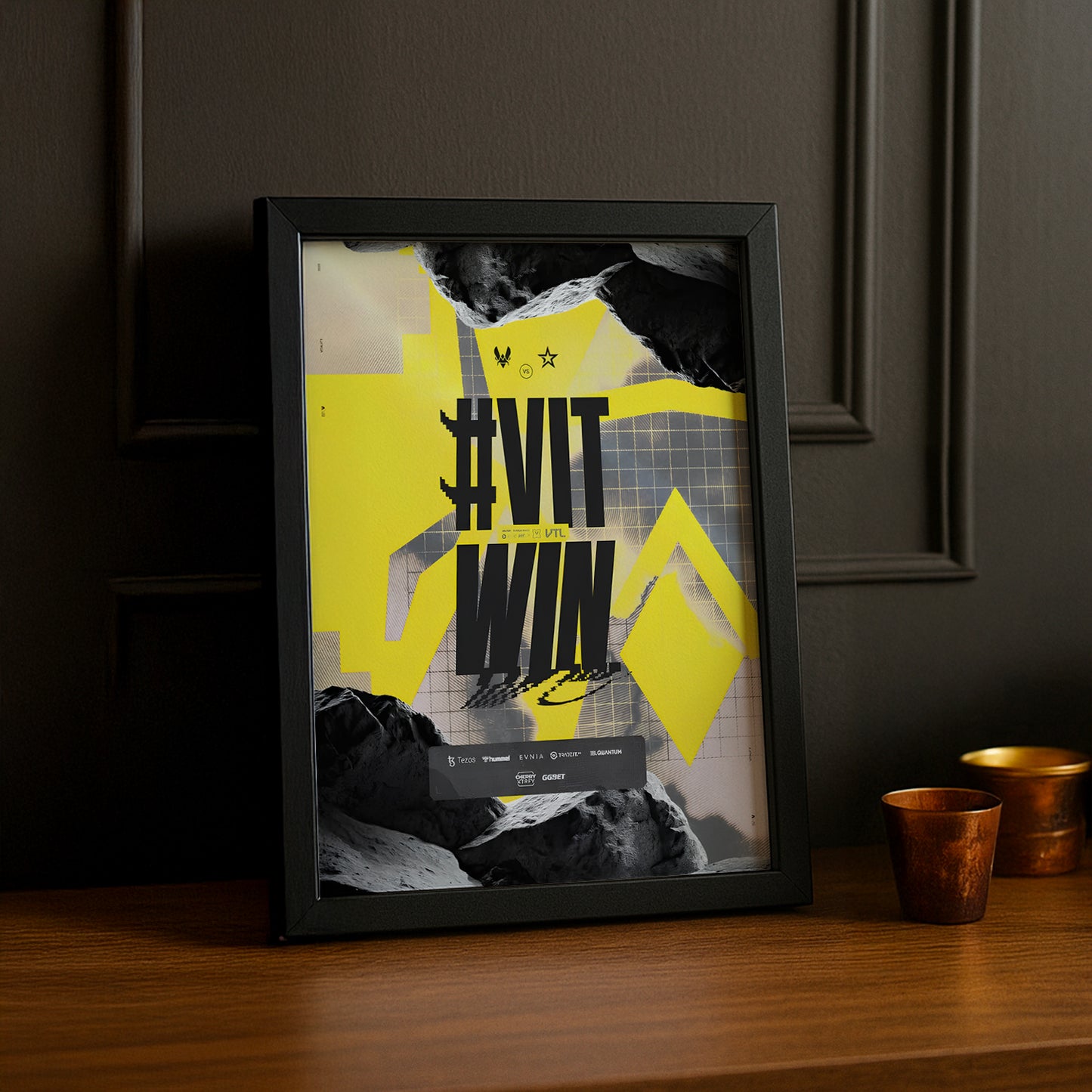 Cadre photo Team Vitality