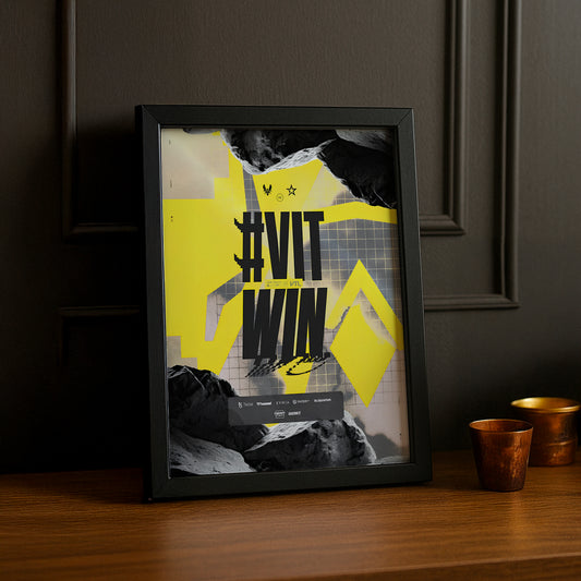 Cadre photo Team Vitality