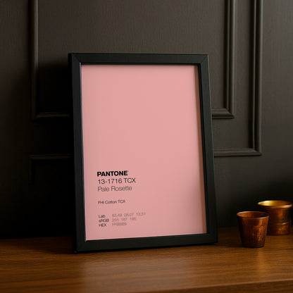 Cadre Photo Pantone - Pale Rosette