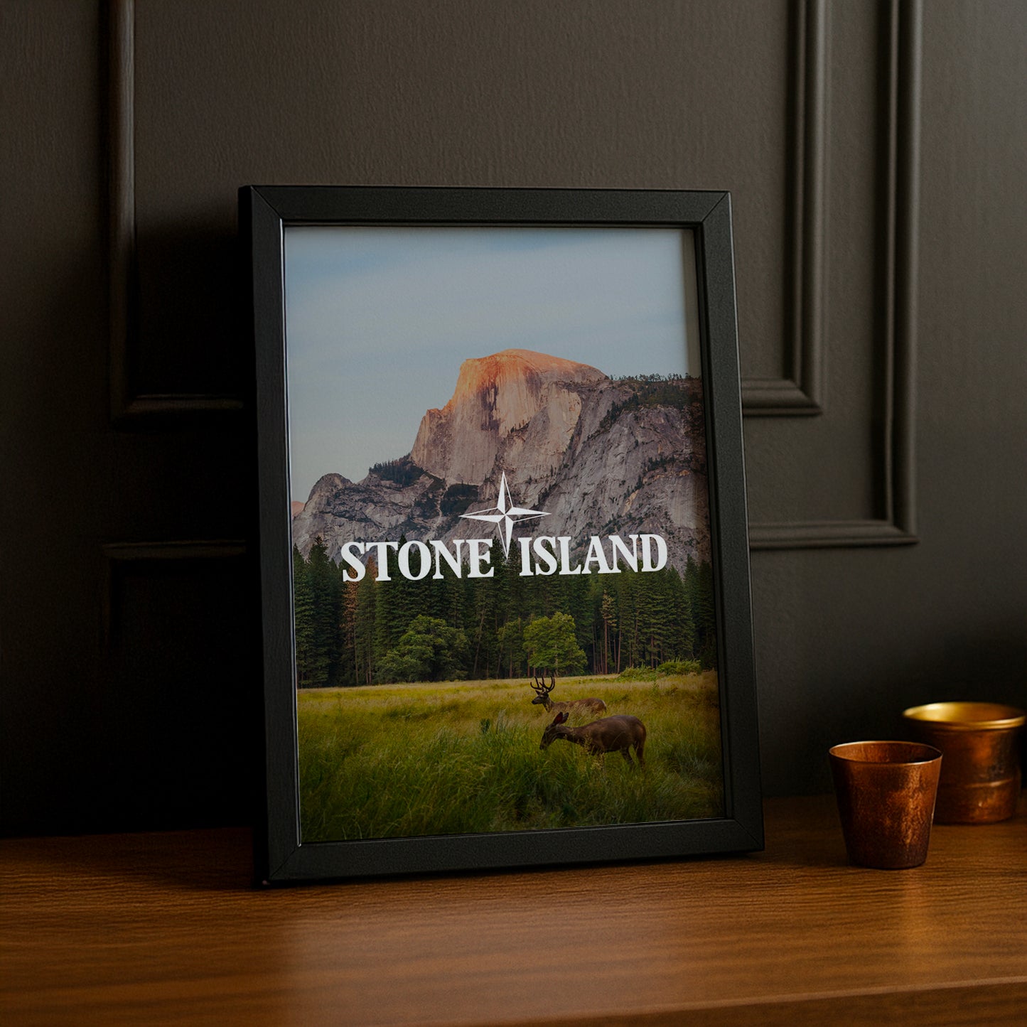 Poster Stone Island - Prairie