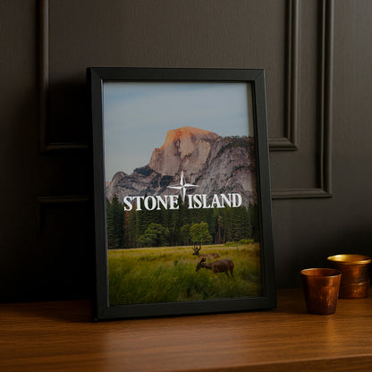 Poster Stone Island - Prairie