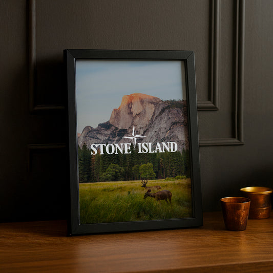 Poster Stone Island - Prairie