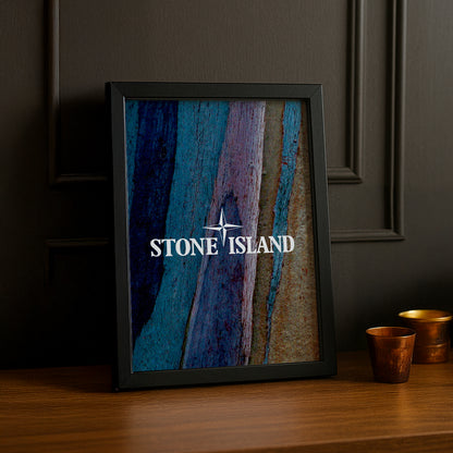 Poster Stone Island - Multicolore