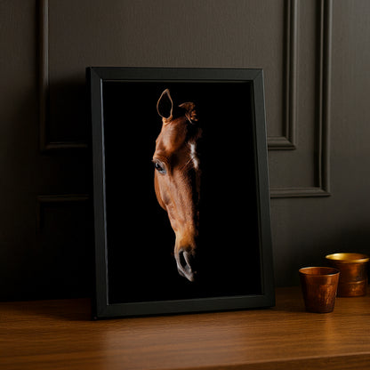 Cadre photo Équitation - Tête de Cheval