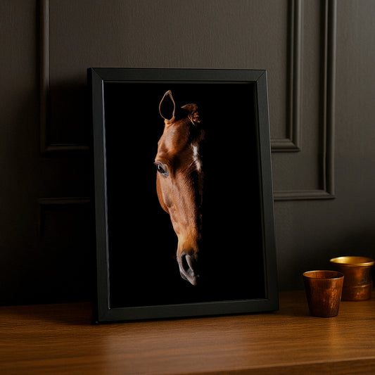 Cadre photo Équitation - Tête de Cheval