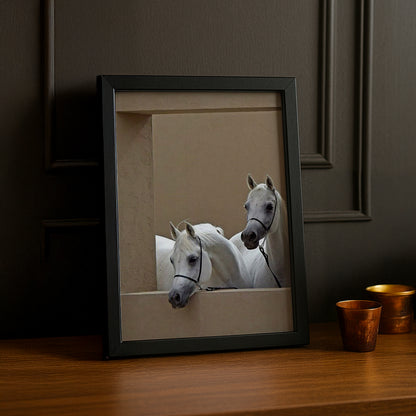 Cadre photo Équitation - Chevaux Blanc