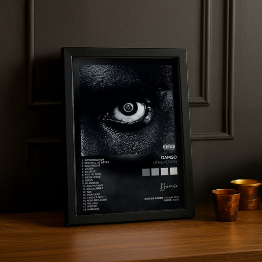 Poster Damso – Lithopédion