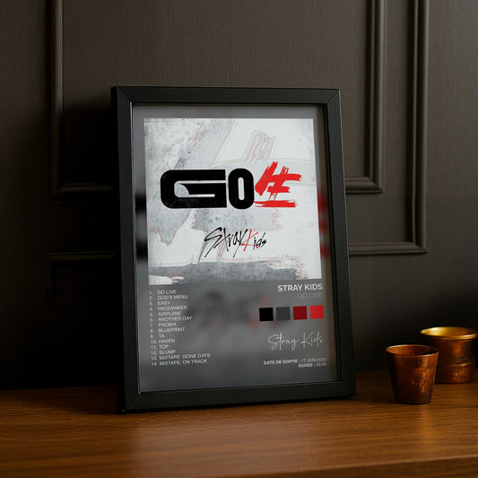 Cadre Photo K-Pop - Stray Kids Go Live
