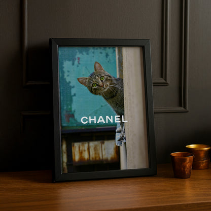 Poster Photo Chanel - Little Cat