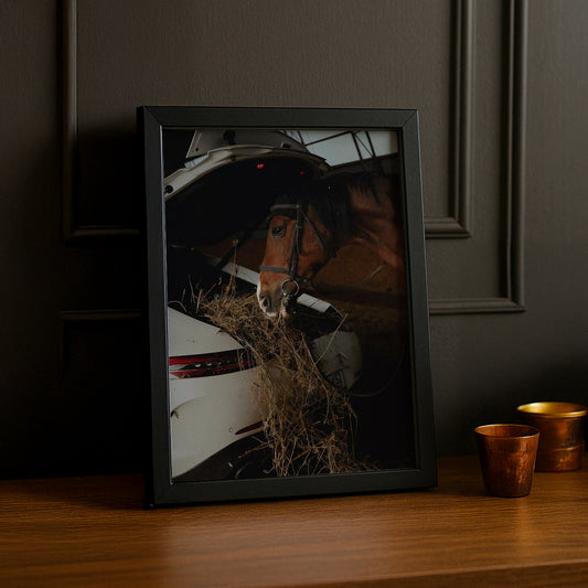 Cadre photo Équitation - Porsche Blanche