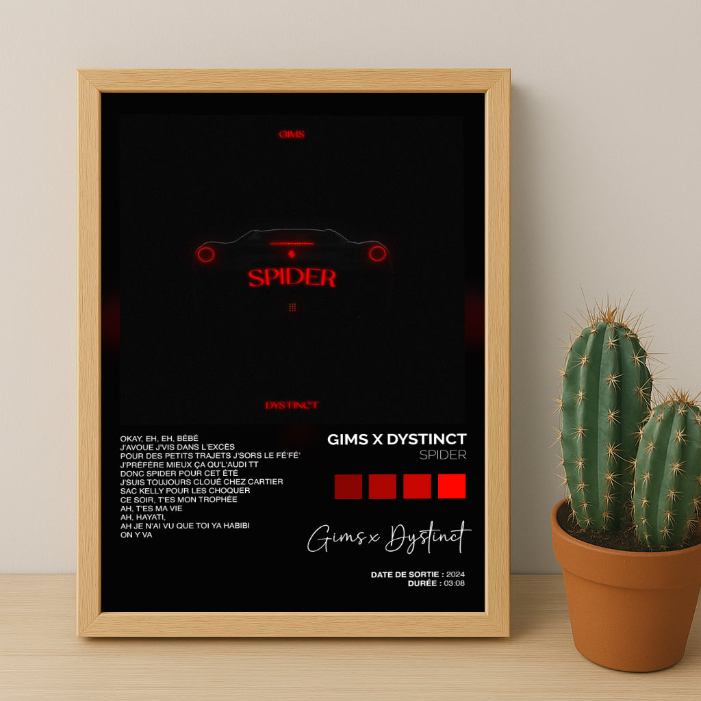 Cadre photo Titre Musicaux - Spider de Gims x Dystinct