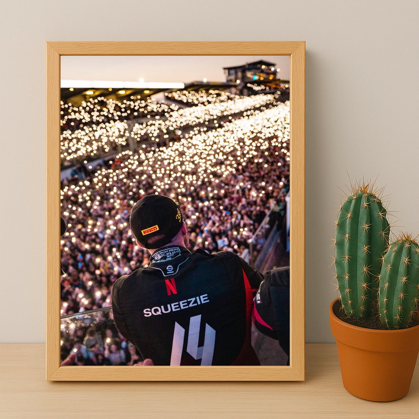 Poster du GP Explorer The Last Race - Squeezie Foule