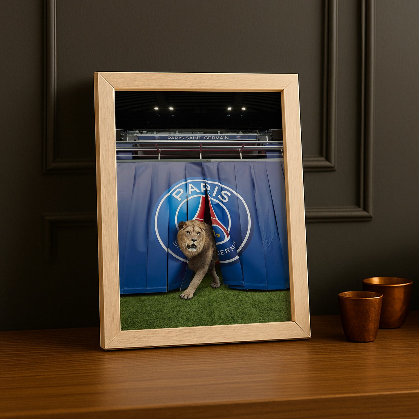 Cadre Photo Paris Saint-Germain - Lion
