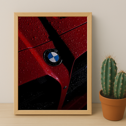 BMW - Calandre Rouge