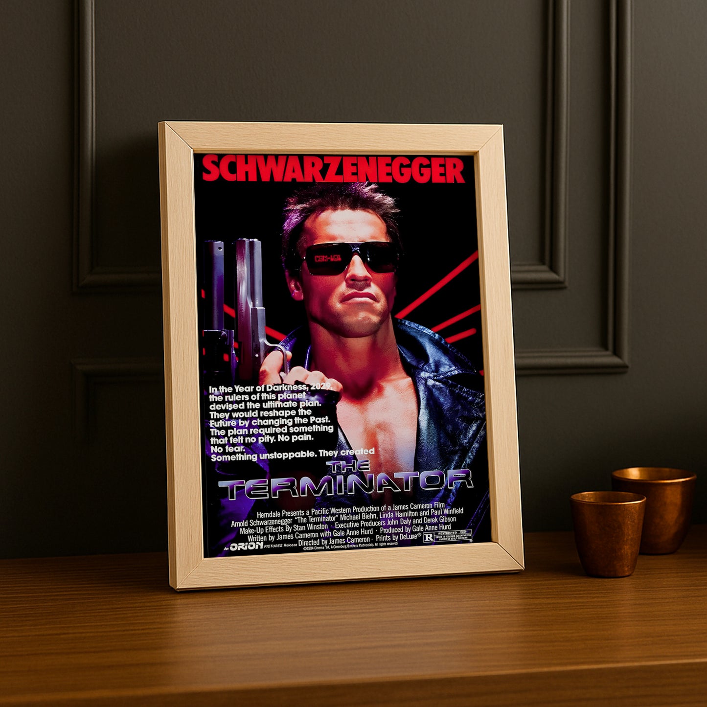 Cadre photo Terminator