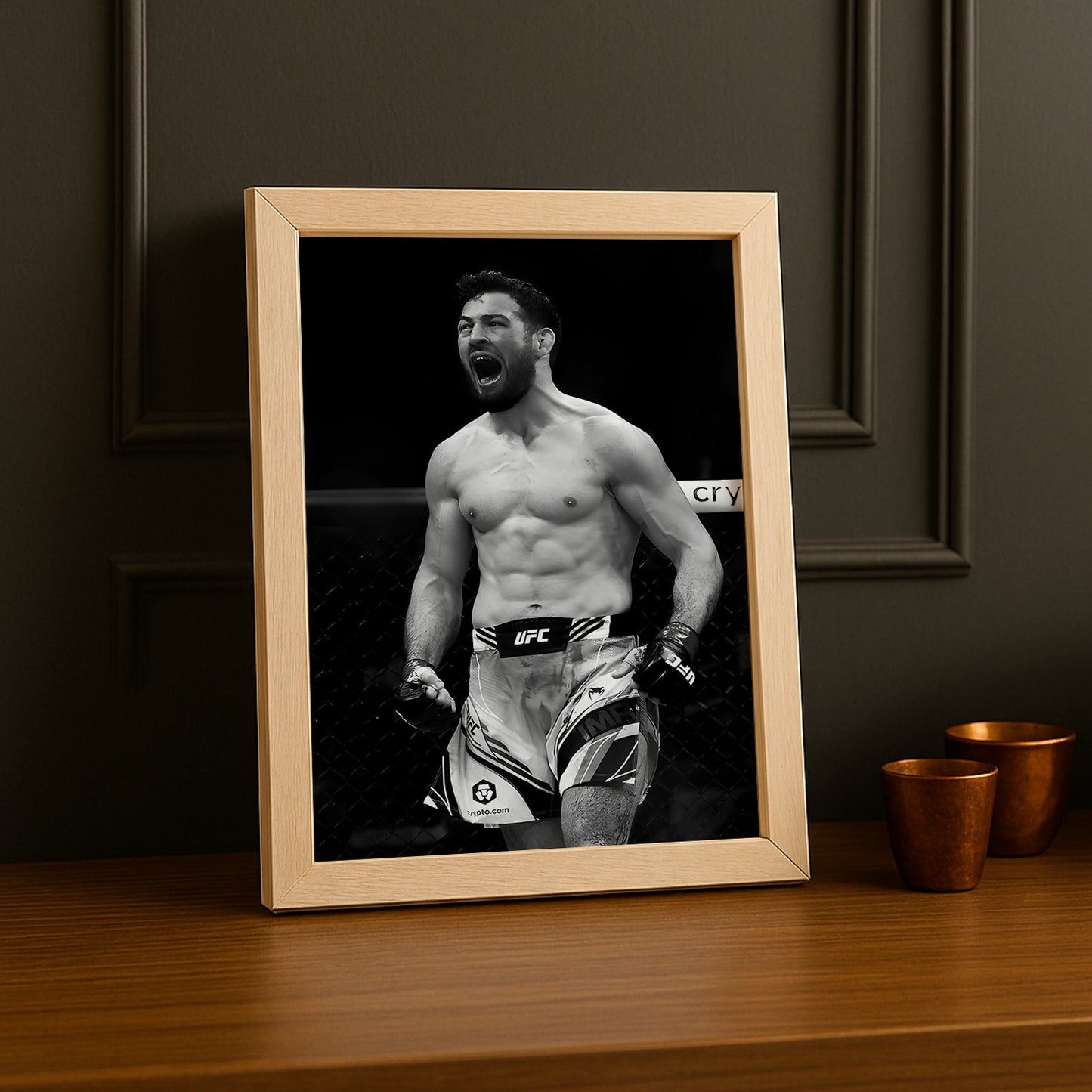 Cadre photo UFC - Nassourdine Imavov