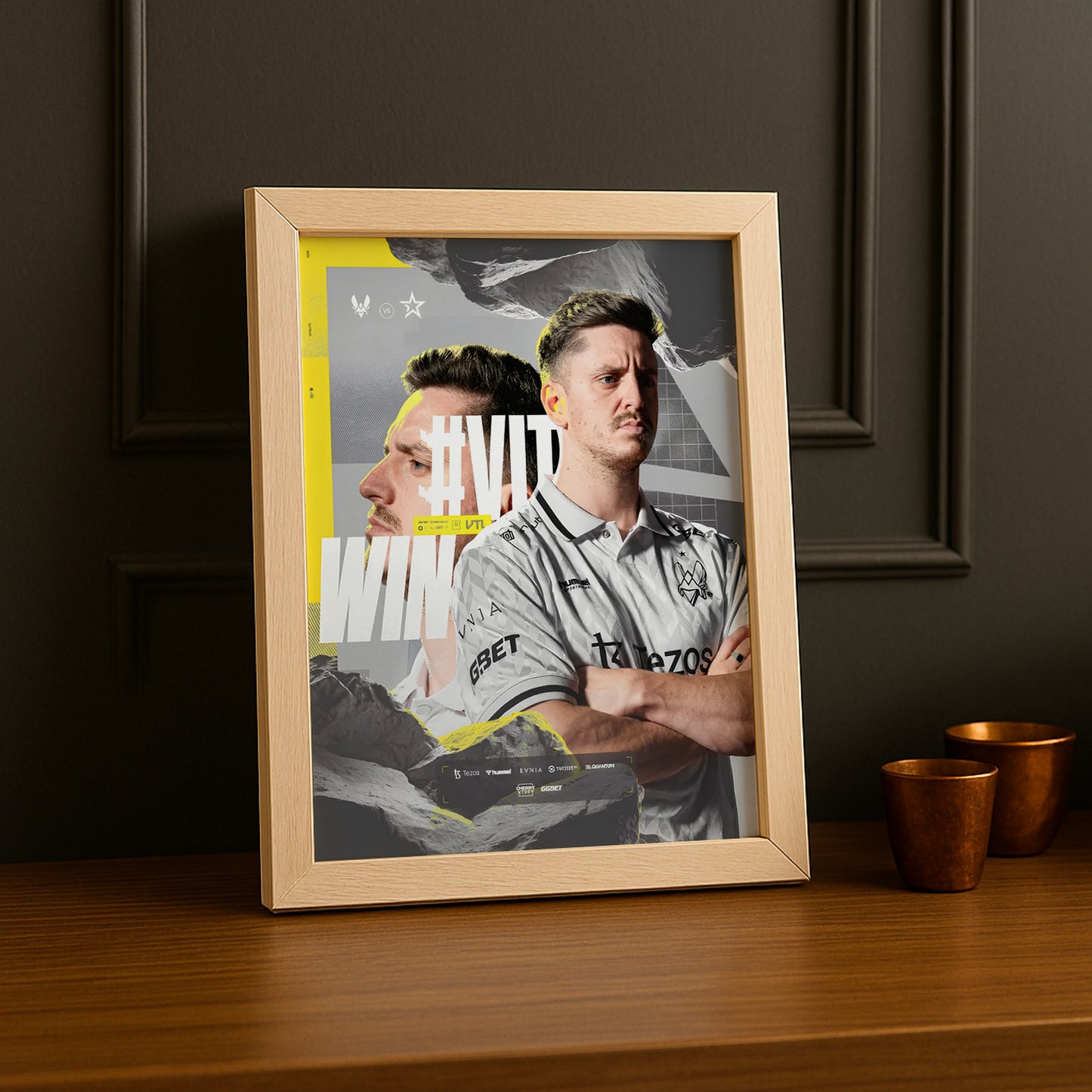 Cadre photo Team Vitality