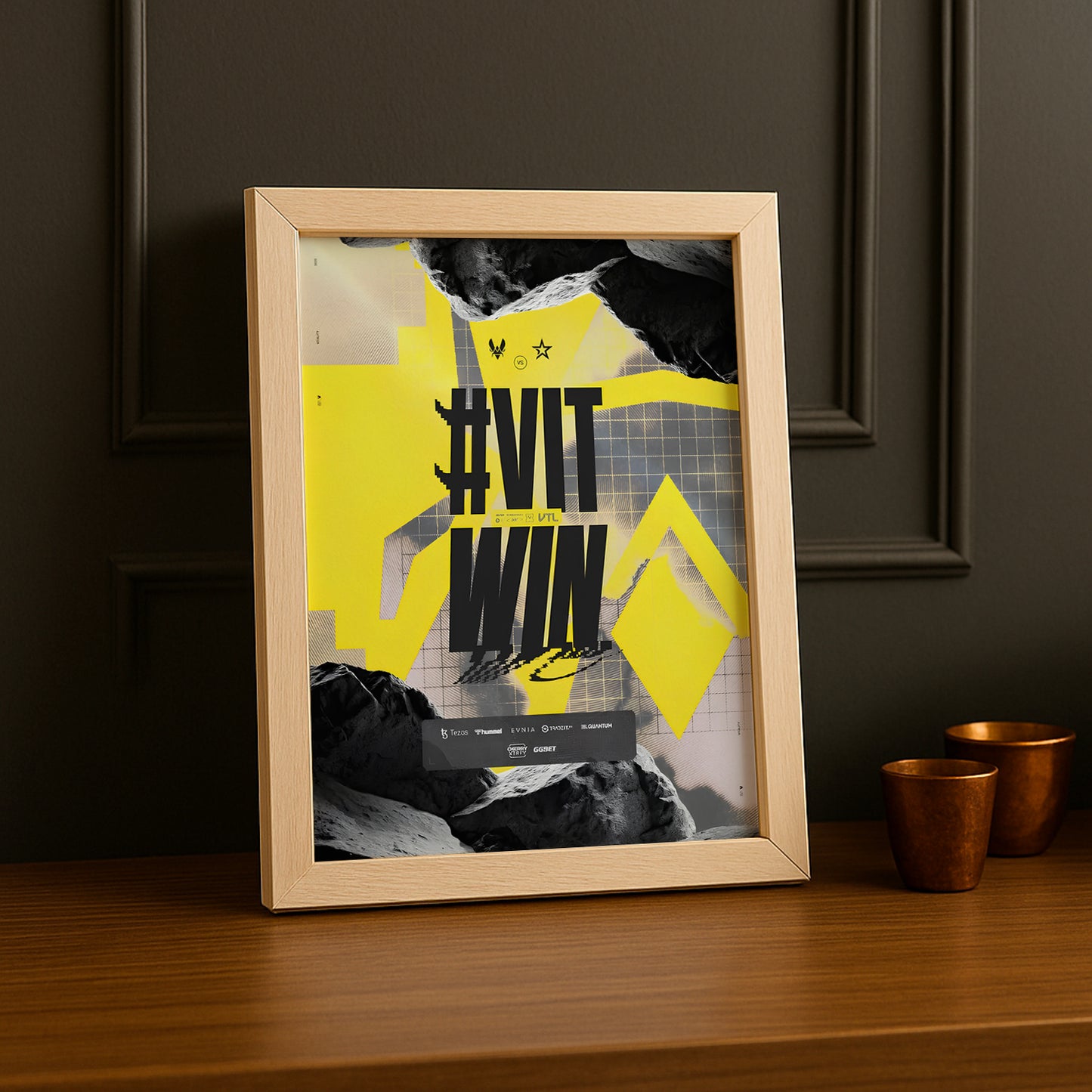 Cadre photo Team Vitality