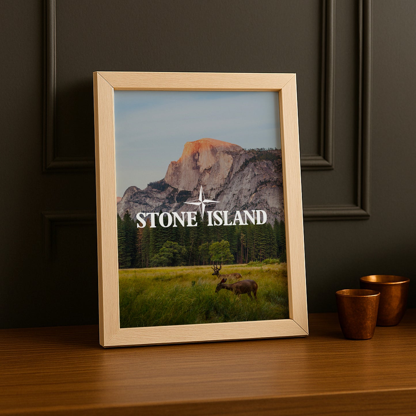 Poster Stone Island - Prairie