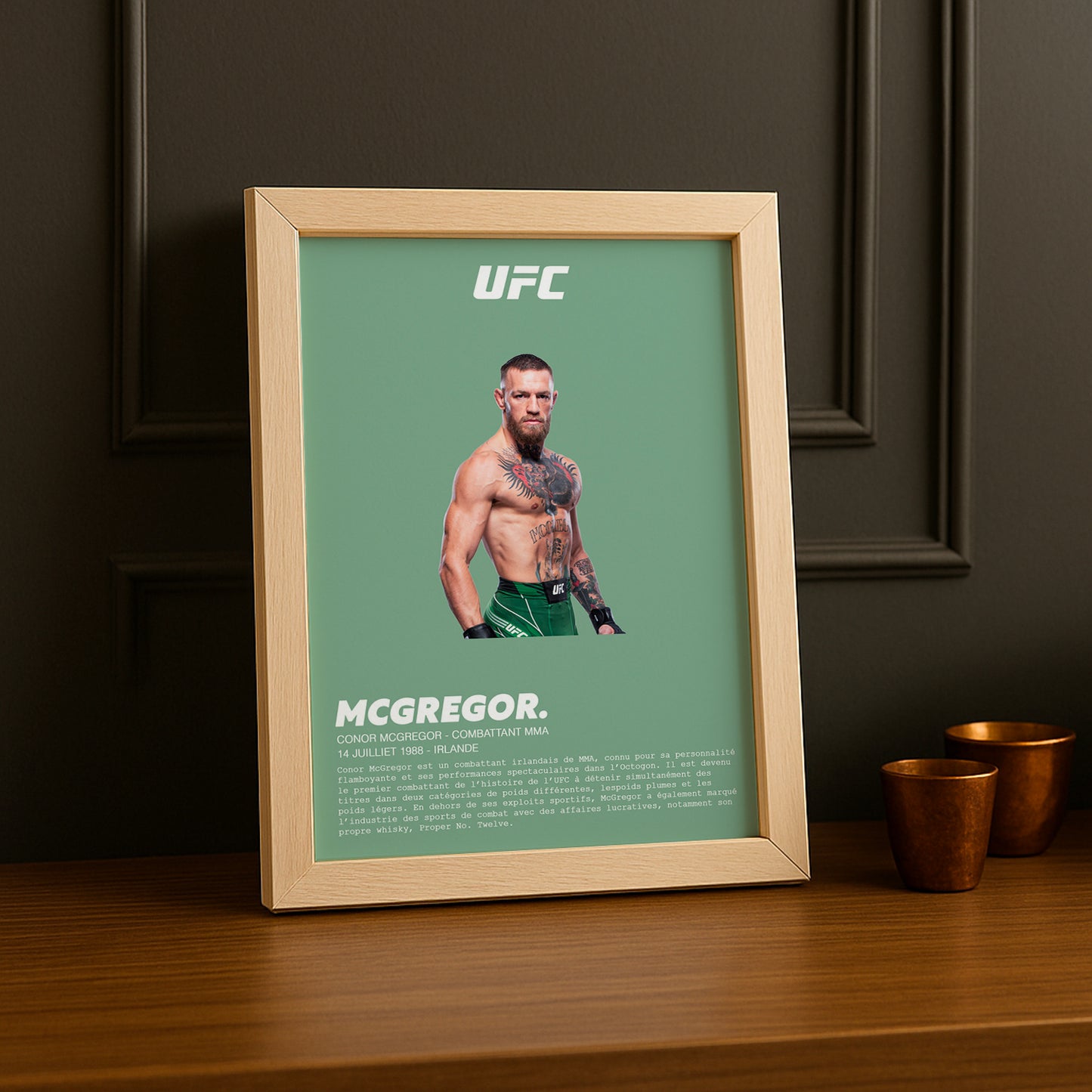 Cadre photo Conor McGregor UFC