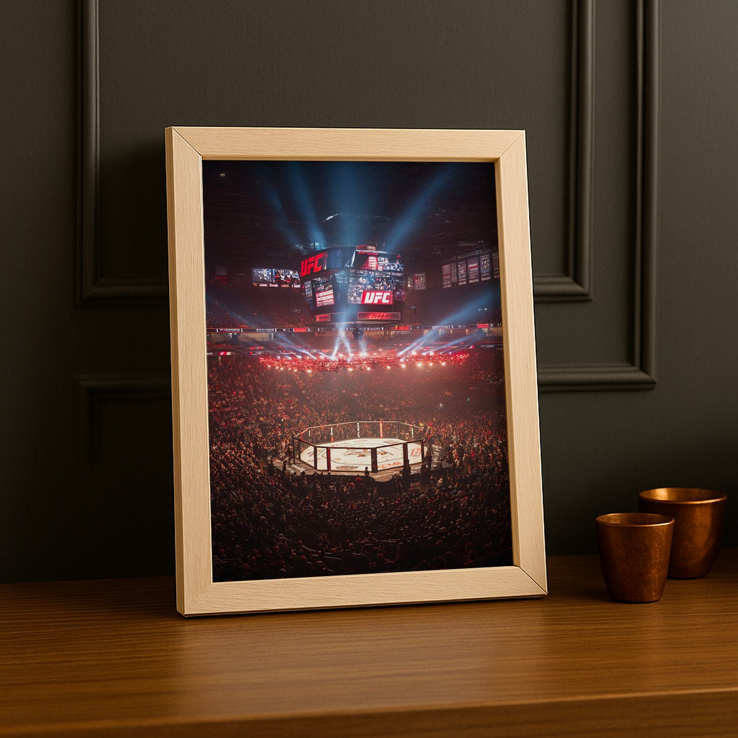 Cadre photo UFC - Cage