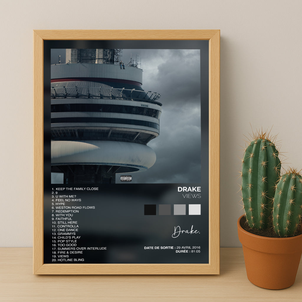 Poster Drake - Album Views